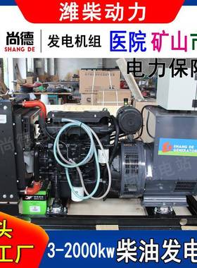 国三柴油发电机WP4.6N柴D1潍0E310马2拉松发电无品牌/机110kw