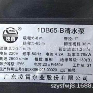 广东凌霄1B351DB451DB65-B清水泵家用抽水泵CCQ330WD550W750W