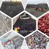 石黄色雨花调料鹅鹅卵543石石英优砾石鹅卵石质公司优质变压器卵