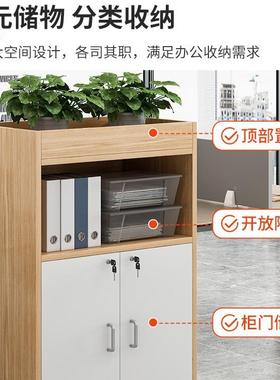 储办室隔断柜花槽柜矮柜落地柜组合长柜条tb-80063文件柜物柜杂物