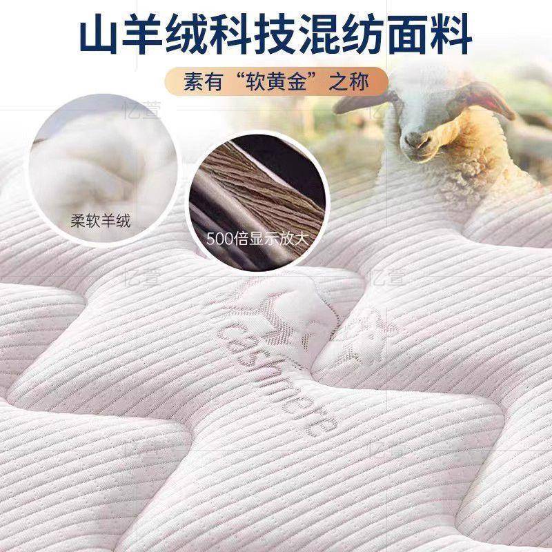 席梦床垫软硬思用无品牌/20cm经济型家用乳马胶海椰棕弹簧床垫租