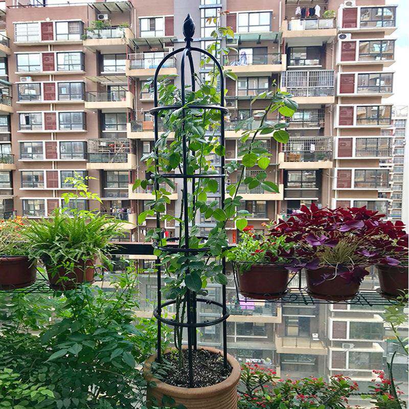 花架爬藤支架绿萝长阳台月铁季线植莲花架子装饰藤小摆件PQR物支