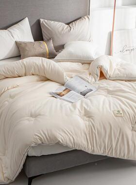 A双类四大豆纤维被冬被全棉春被单人被63305芯加厚保暖季通用秋可