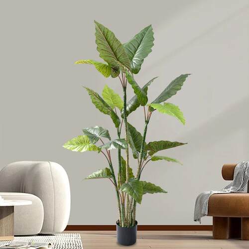 大型仿生绿植芋树仿室内高落地盆HPQ栽植物彩虹芋端树真树人造假