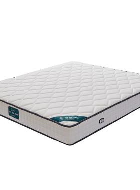 7K椰席厚梦VXT思床垫棕垫偏加乳胶软硬垫双面家用弹簧黄麻20