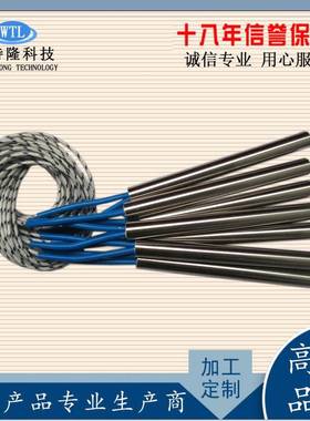 电不锈钢头发热EDZ热管模具干烧热管加管单烧烤炉电加热管单端加