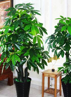 假树真客树发MO5SZoxg内财树厅大型落地假花盆栽摆设室绿色装饰仿