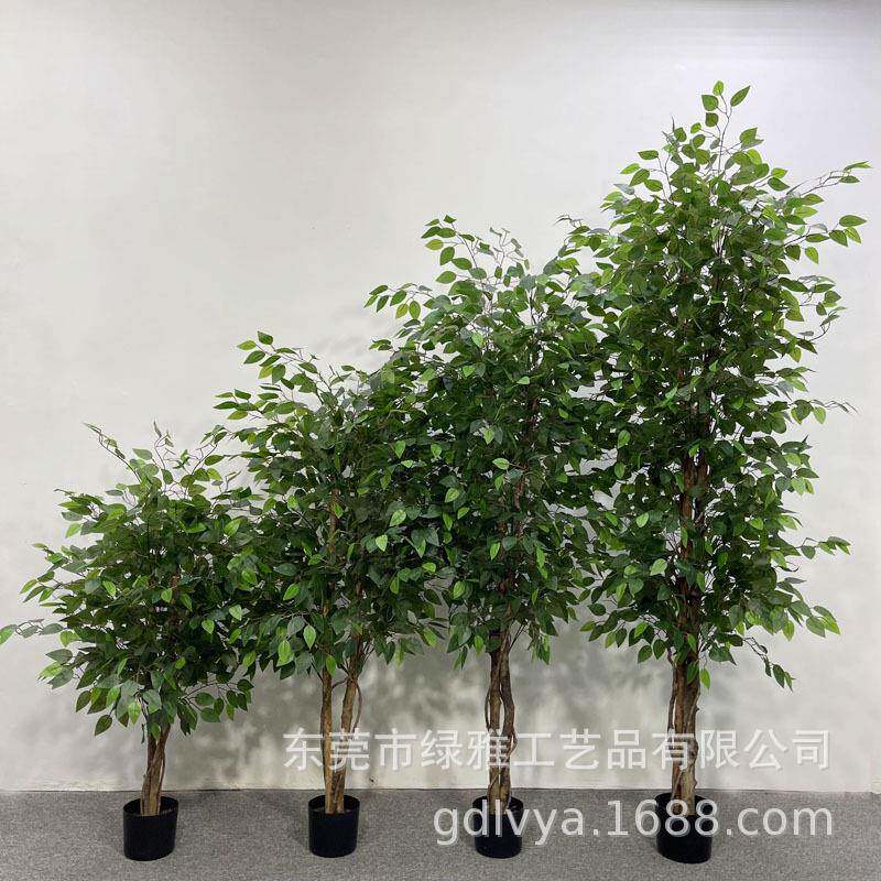 JDF人造真树杆榕胶树仿真边榕树假绿植盆栽小过白迷你榕客厅造景