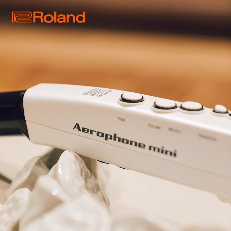 Rolnd罗兰AE-01C白a色中国BBF民吹乐电音色版电子管乐器扬声器吹