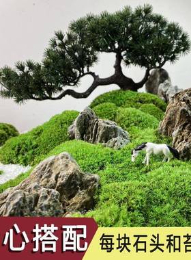 新中式艺摆件酒店餐景KX-67104桌中间摆件花桌面观造景转盘饰品圆