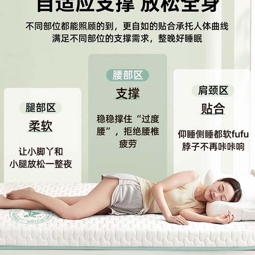 2025单新款乳胶床被垫宿舍单单件学生软垫家用单人记F996H569忆棉