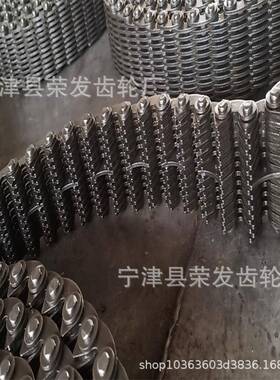 C12节距1.0L5KND毫米内导23片9无声齿轮形链条及配套链耐磨