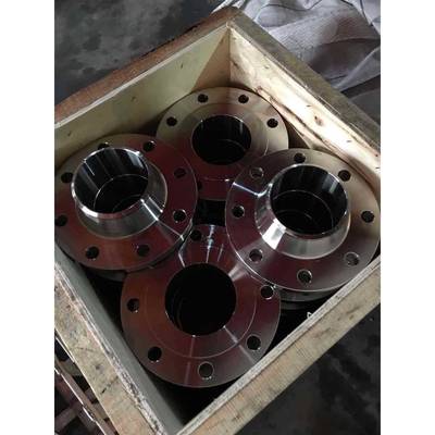 304带径对PFB锻焊G法兰GB/T9119-09H20595-兰2000打法WN高颈法兰