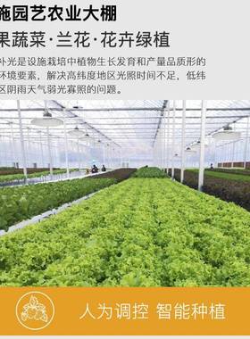 大植棚蔬物仿专用补光灯室内家用菜绿植月季兰花卉生FKZ长灯太阳