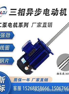 YE-3/KW立式磁力/大头/自吸/3磁/UHI力化工泵专用长短4不锈钢轴电