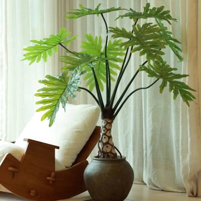 仿真绿植地鳞天使龟背龙鳞春羽竹植装饰龙大型落氛围感龙鳞春物羽