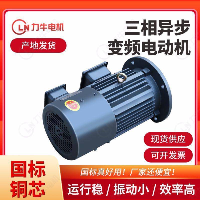 三相异步变频电动机YE2变频刹车调速电动机立式卧式铸铁电动机