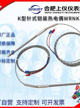 K型铠装热电偶E/J针型WRNK191测温线PT100温度传感器探头