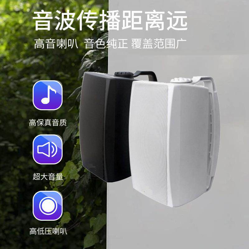 壁挂音箱定压壁挂音箱广播花喇叭定向天定市压场商超学校会议壁挂图片