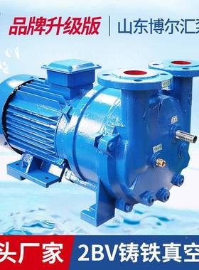 2B513真1铸铁空泵1k1w水324环式真空泵抽V气泵循环水泵淄博厂家