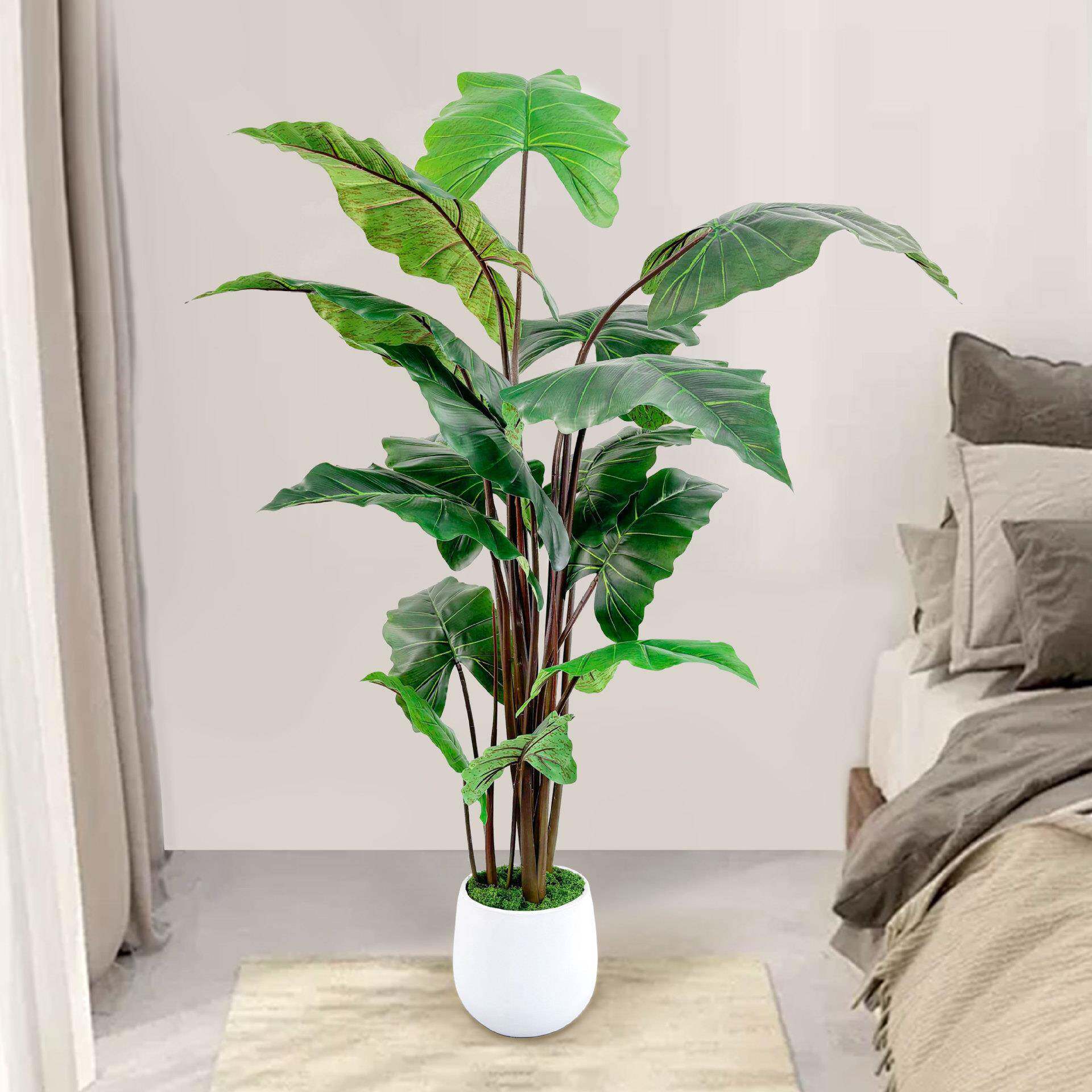 艺装仿景天懒人逼真工艺塑胶家居绿大型绿植真植物彩0001虹芋植饰