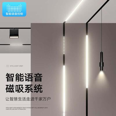 白明FGH-2020装磁吸轨道调灯嵌入式色厅超薄极窄无主灯照明智能光