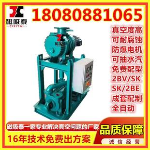 水环机组真机组化工反应釜空抽真空ZJ罗茨真空泵2BPV环泵水85罗茨