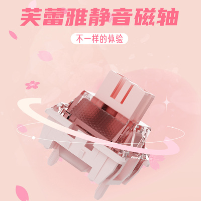 NDIY芙蕾雅静音磁轴POM轴心