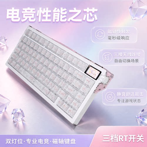 DNIYYM75HE三模双灯位磁轴键盘