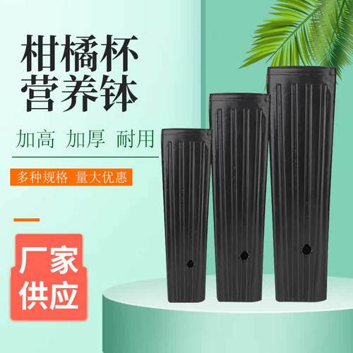 赣南脐橙育苗盆加高加厚柑橘营养钵营养袋育苗袋大号果树专用杯