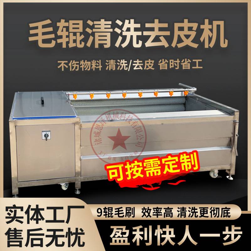平行毛辊清洗机 果蔬清洗机 中药材清洗机海蛎子毛辊清洗机