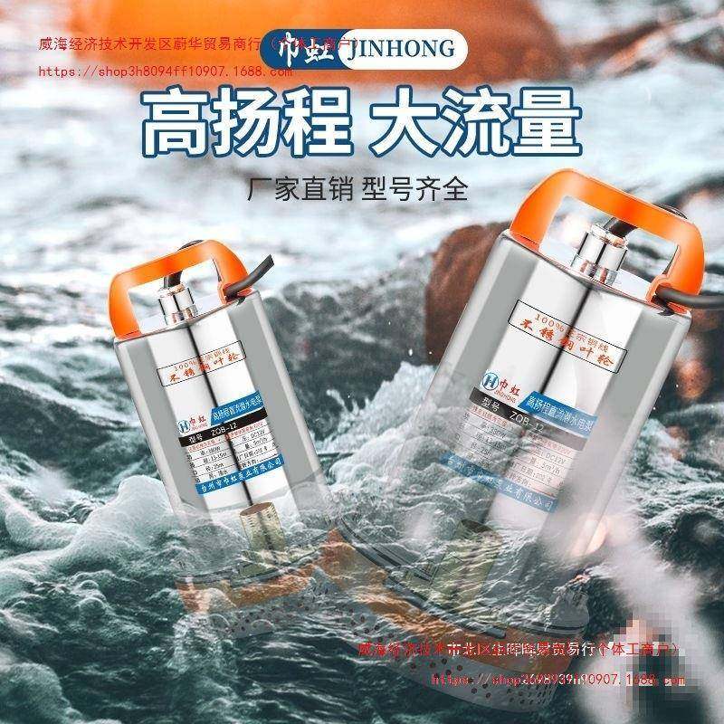 流巾虹STJ直潜水泵172V24地V48V60V2V高扬程农用电车三轮车浇抽水