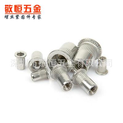 20pcsM3CVGM1304不锈钢平-头拉铆0螺母组合盒5装