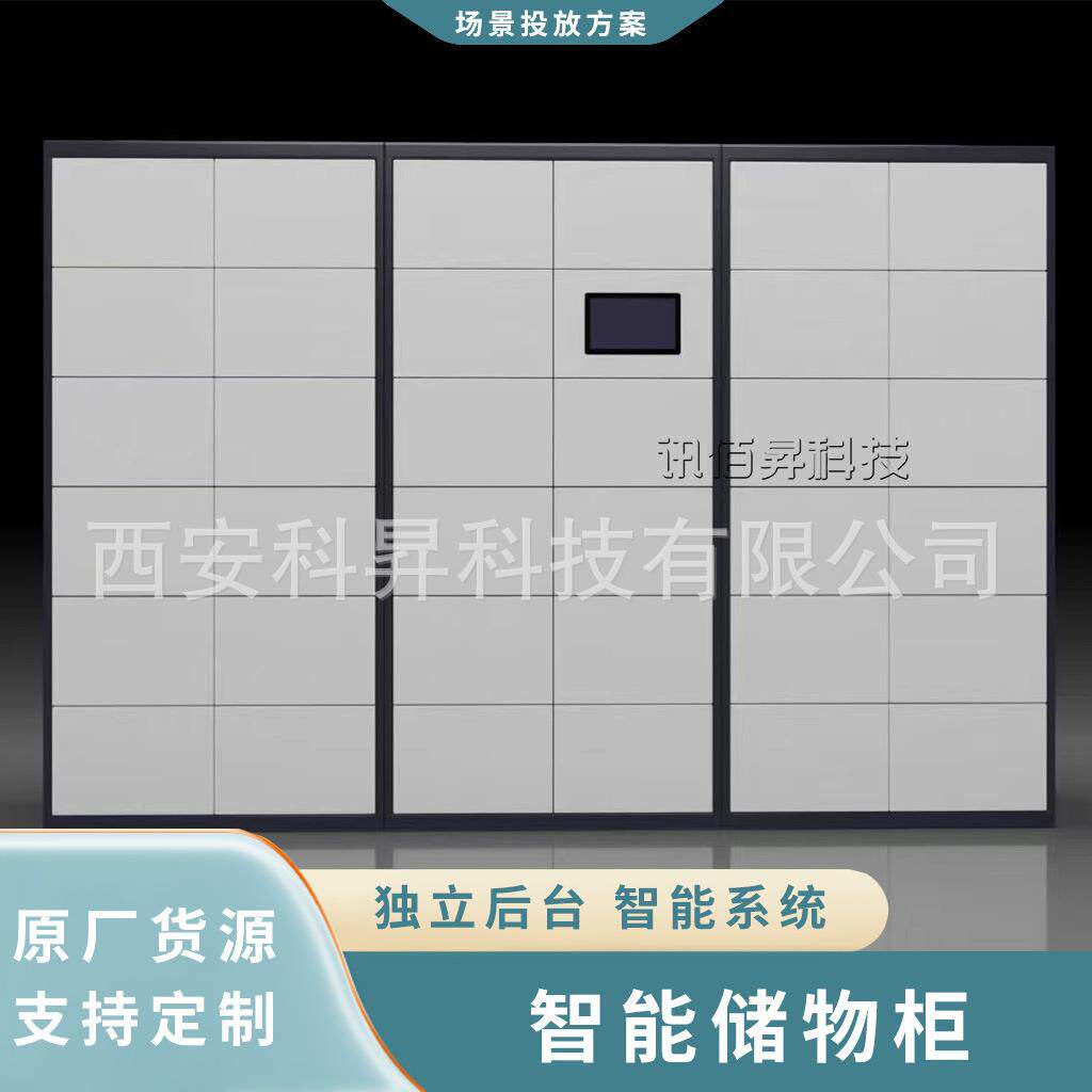 联网储物柜智能电子存包柜超市SSF自酒物品存柜脸景吧区人行李寄