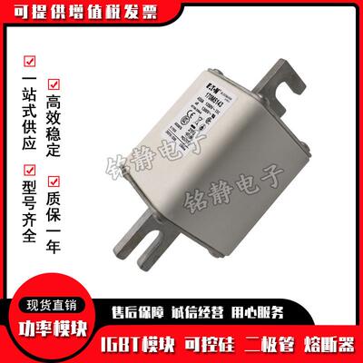 17M59661070M0125960717M5968170M5969巴斯曼熔断器现货170M5970