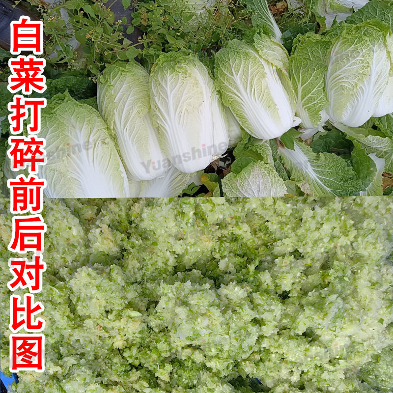 元杉多功能蔬菜切碎打泥机