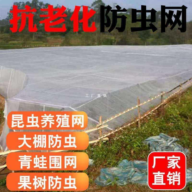 9YW虫网防纱网用窗纱防苍蝇蚊子大棚树F87H6697杨梅树农养猪果场