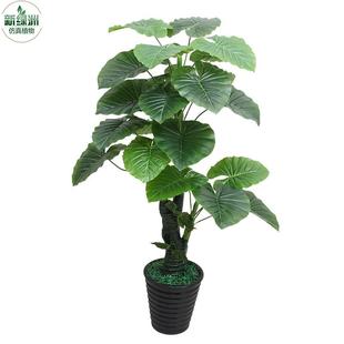 发仿真植物盆栽财大生田园室塑料客厅LMD落内地办仿公文化仿真园