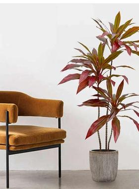 仿真绿植蕉真红铁绿铁YS-05710树室内装饰造景商地场酒店别墅落景