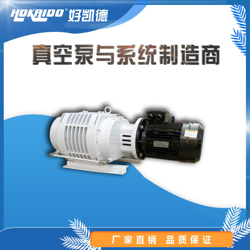 罗茨干式小型低噪音真空泵