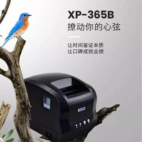 365B芯烨XBP-365（印新）热条敏标签码打印机不干胶打机服装吊牌