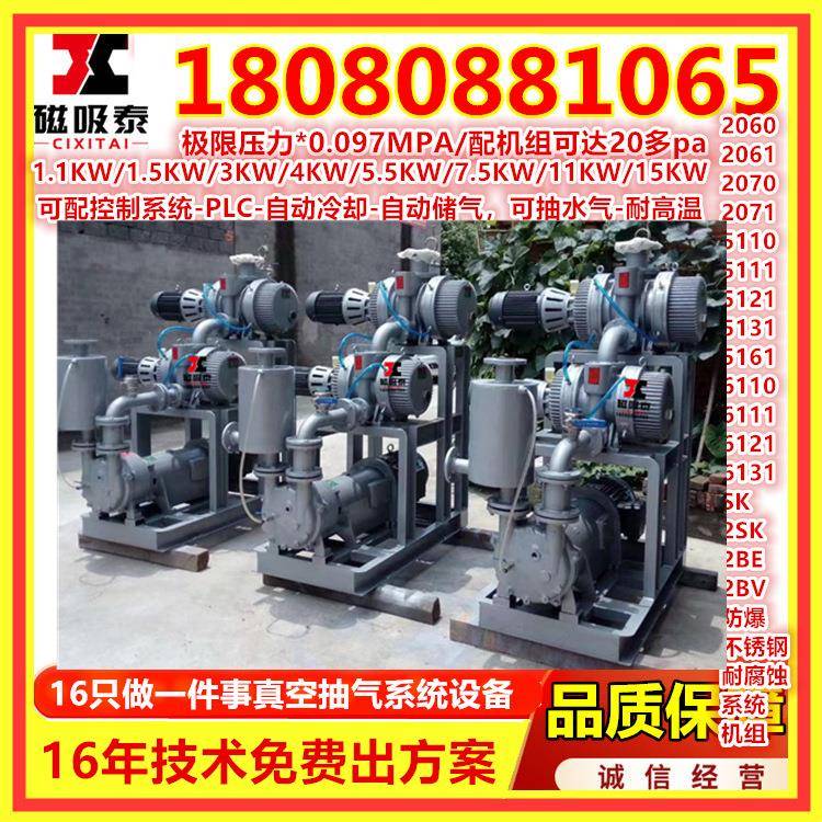 CN精雕机雕刻机用水环真空泵B1V5211C矿井工业设备高真空抽VQE水