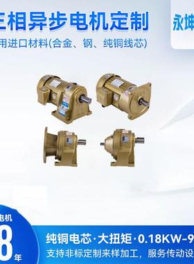 深圳永坤轮减速748机电机ch202-20齿-0S，200w5电机卧式安装22轴