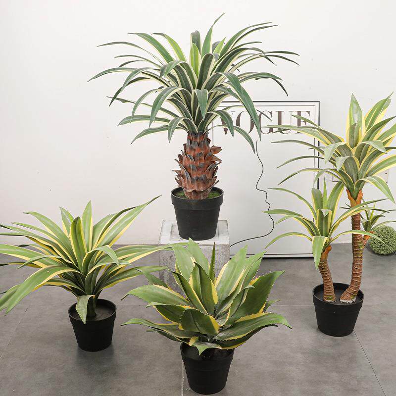 手感软胶材WH料金边龙兰舌白边黄冠兰真植物造景绿植剑仿剑兰麻盆