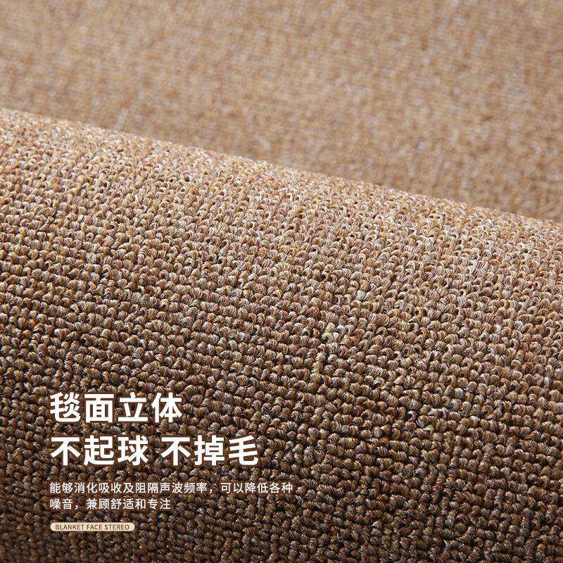 P6简6D约办公地毯大积整铺水LFW泥地隔音地垫室网红拍照背景毯防