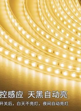 太能阳XGX灯带户外水24V经济防超亮灯条庭院别墅花园亮化款氛围灯