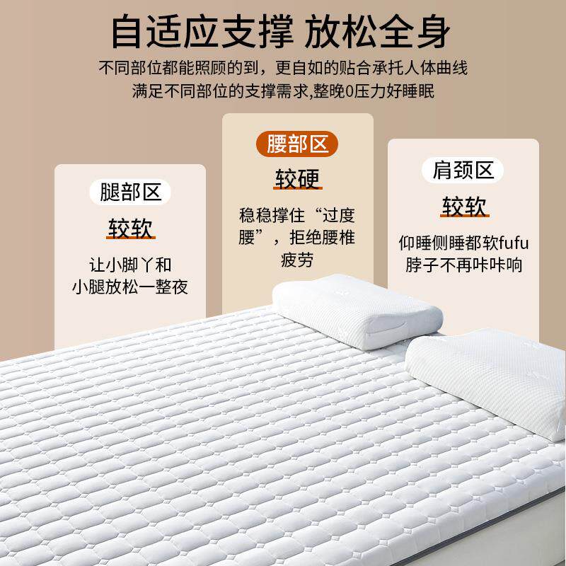 乳胶床垫软垫家用榻10016360卧室褥垫15租房榻米垫子学生宿床米舍