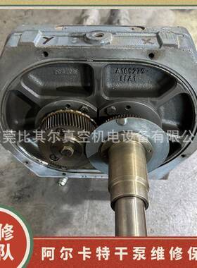 adixen阿尔特A死DP22P真空泵维修保养178卡干式螺杆泵卡专业1检修
