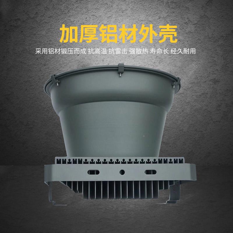 LE0DW塔吊灯高杆投光灯建筑之星工矿灯探照灯光灯SED50泛0-100w