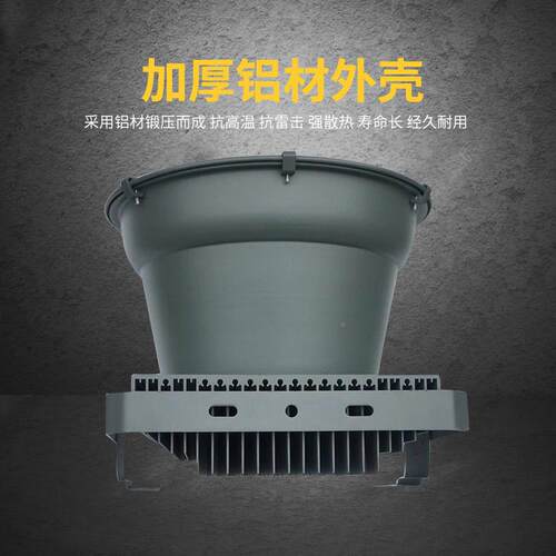 LE0DW塔吊灯高杆投光灯建筑之星工矿灯探照灯光灯SED50泛0-100w